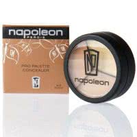 Napoleon Perdis Pro Palette Concealer - Conceal