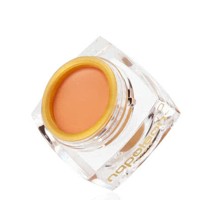 Napoleon Perdis The One Concealer Original