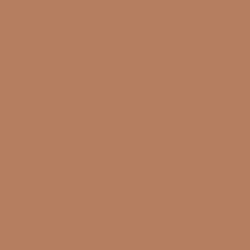 Bobbi Brown Instant Full Cover Concealer - Warm Natural