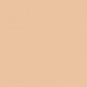 Bobbi Brown Intensive Skin Serum Foundation SPF 25 - Warm Sand