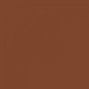Bobbi Brown Skin Foundation SPF 15 - Cool Walnut