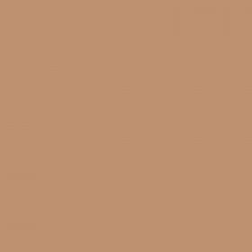Designer Brands Firming Age Foundation ? True Beige 655