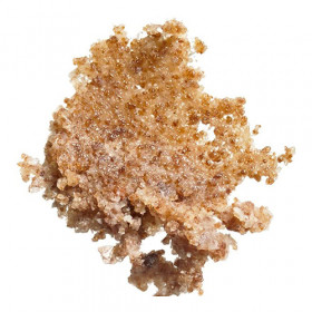 elf Lip Exfoliator - Clear Brown Sugar