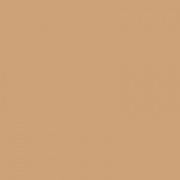 Lancome Teint Idole Ultra Wear Foundation SPF15 - 050