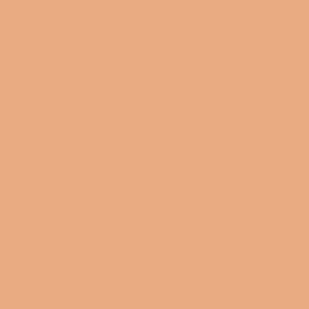Mirenesse 10 Collagen Cushion Compact Refill - Mocha
