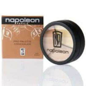 Napoleon Perdis Pro Palette Concealer - Conceal