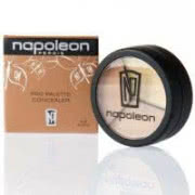 Napoleon Perdis Pro Palette Concealer - Conceal