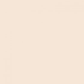 The Ordinary Serum Foundation - 1.0P Very Fair - Pink