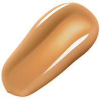 Bobbi Brown Skin Foundation SPF 15 - Warm Beige (3.5)